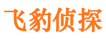 普兰私家侦探